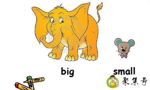小的英文
