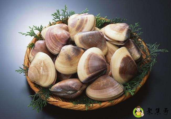 油蛤和花蛤的区别