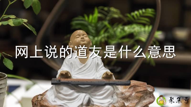 网上说的道友是什么意思