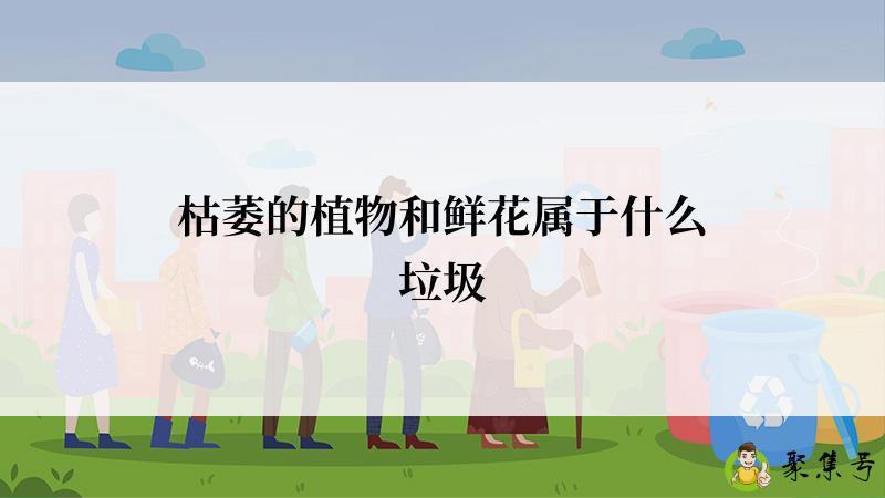 枯萎的植物和鲜花属于什么垃圾