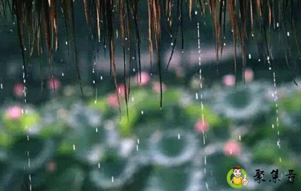 出霉日是什么意思