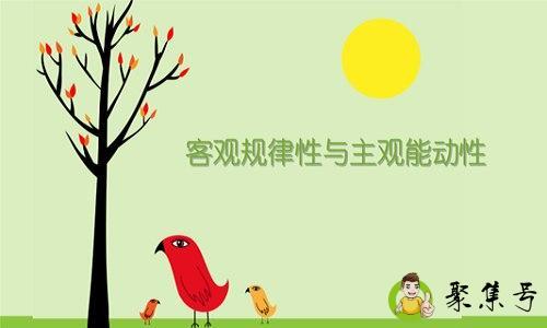 主观性强是什么意思