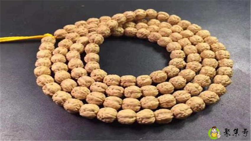 佛手菩提是什么籽