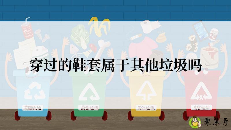 穿过的鞋套属于其他垃圾吗