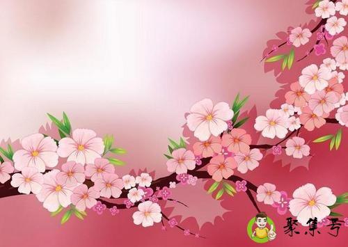 桃花面代表什么生肖