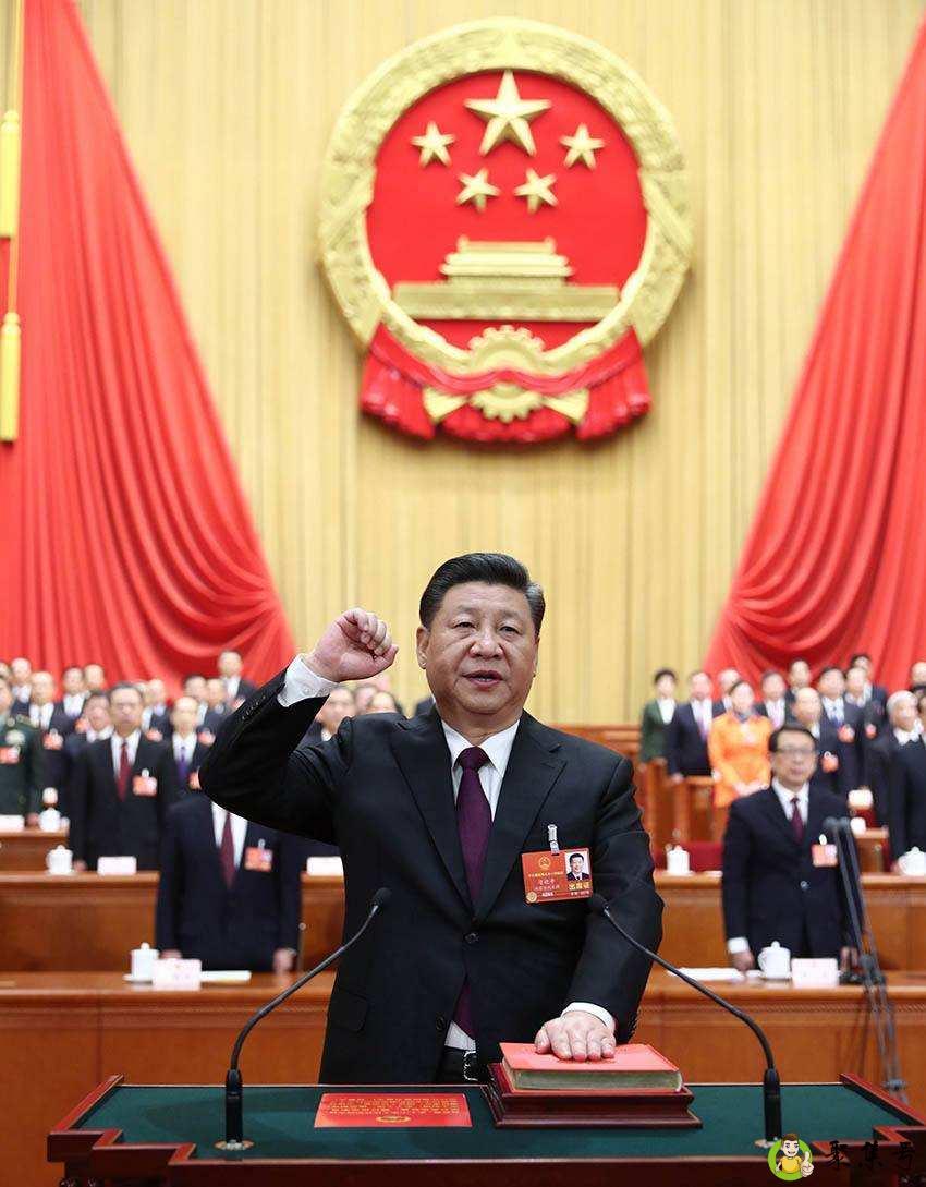 大队委员会由几人组成