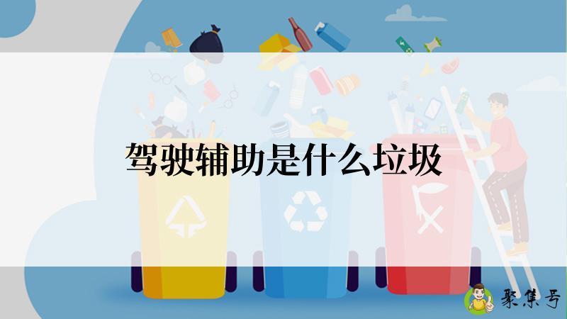 驾驶辅助是什么垃圾