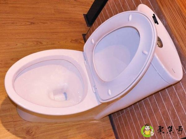 通马桶的叫什么