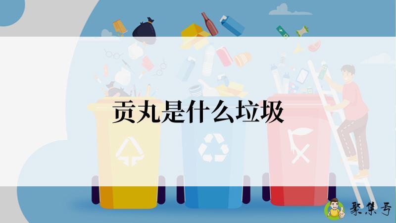 贡丸是什么垃圾