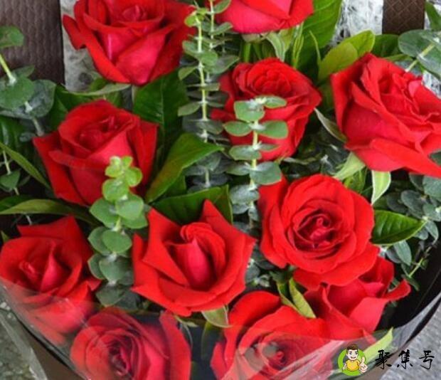 送花11朵代表什么意思