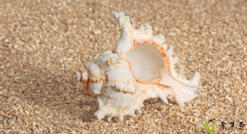 吃田螺有什么危害