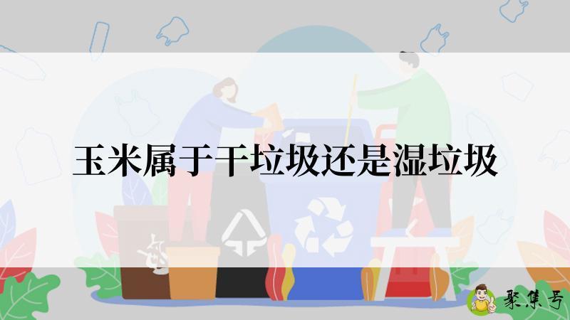 玉米属于干垃圾还是湿垃圾