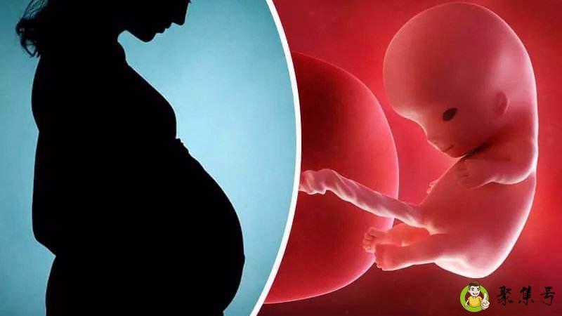 世界上先有男的还是先有女的