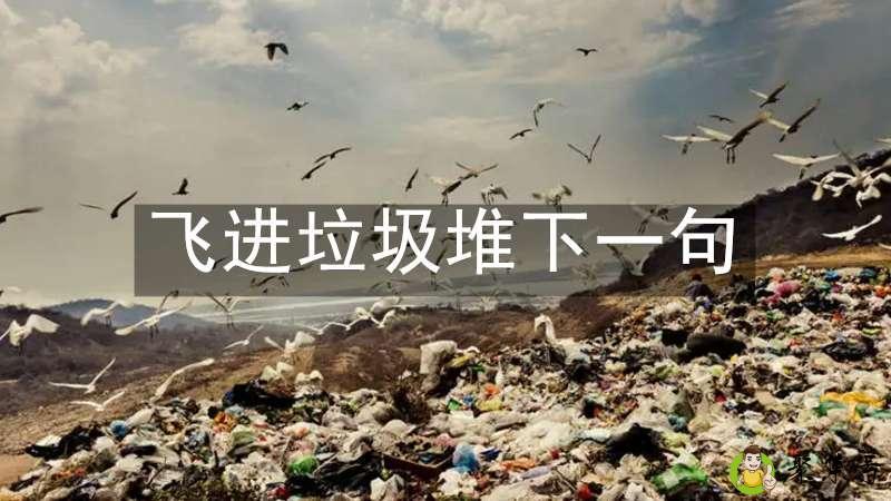 飞进垃圾堆下一句