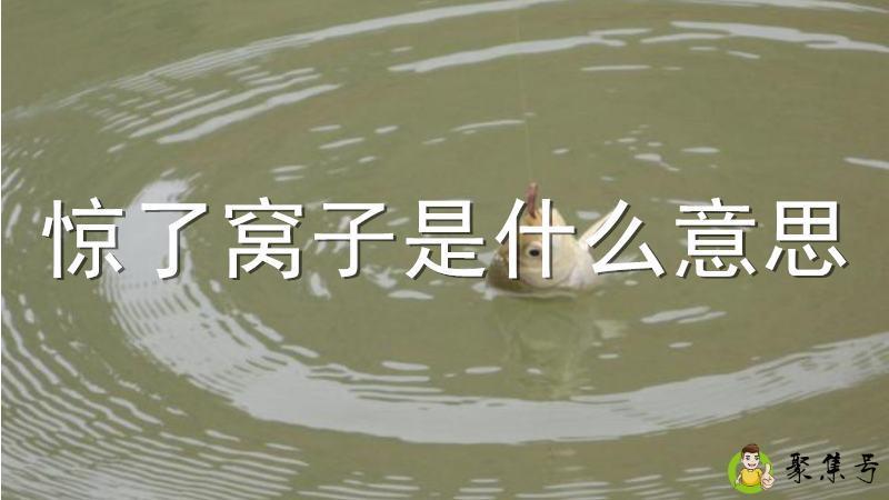 惊了窝子是什么意思