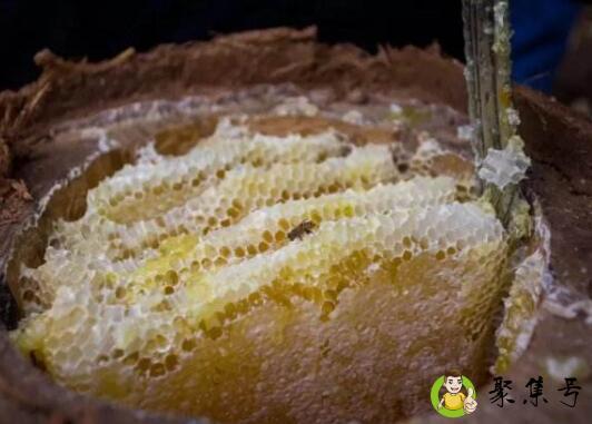 花嫂土蜂蜜是真的吗