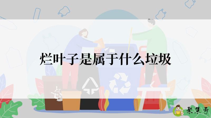 烂叶子是属于什么垃圾