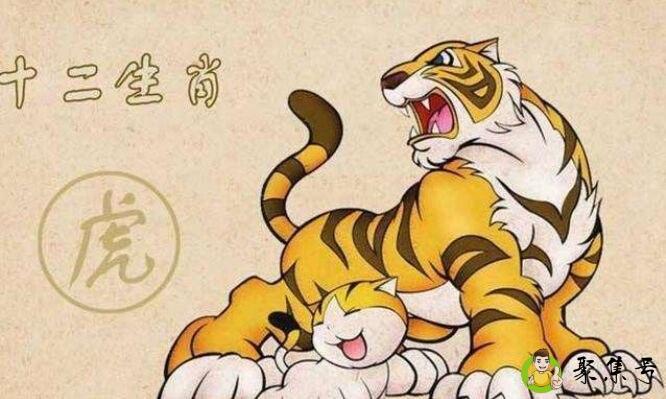 足智多谋是什么生肖