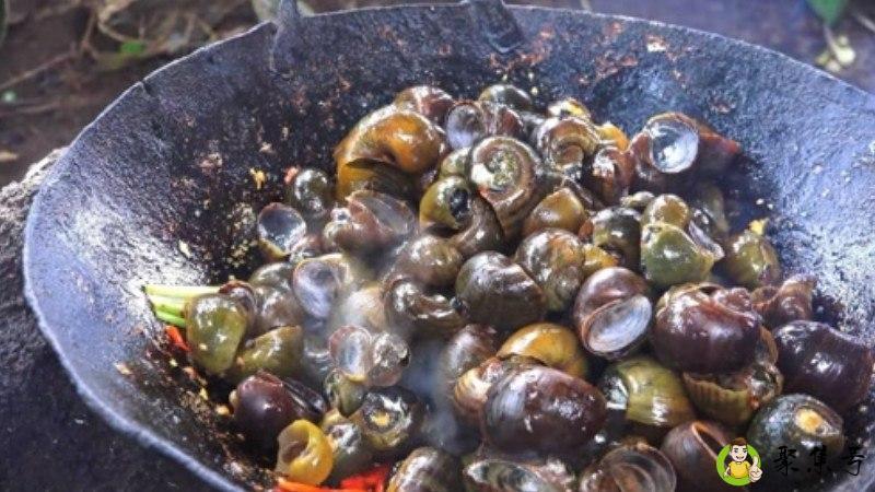 螺丝壳是干垃圾还是湿垃圾