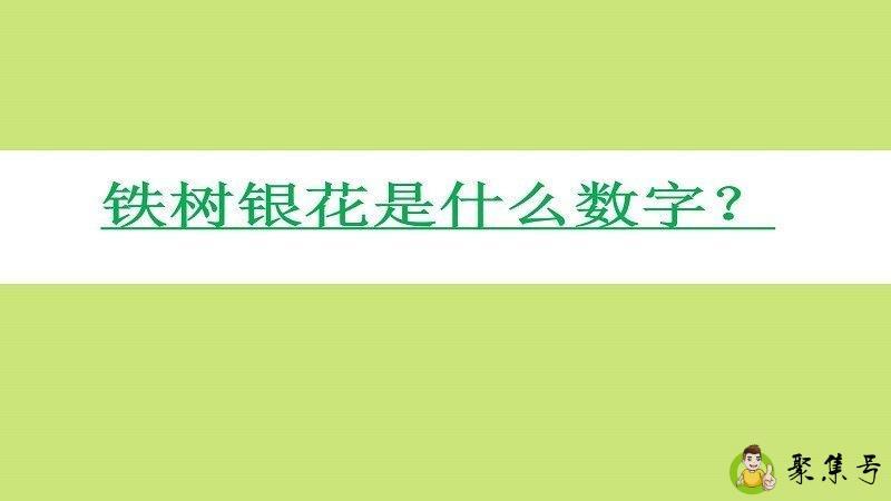 铁树银花是什么数字