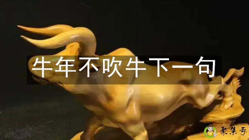 牛年不吹牛下一句