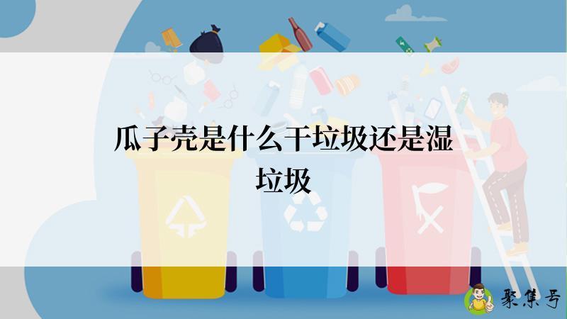 瓜子壳是什么干垃圾还是湿垃圾