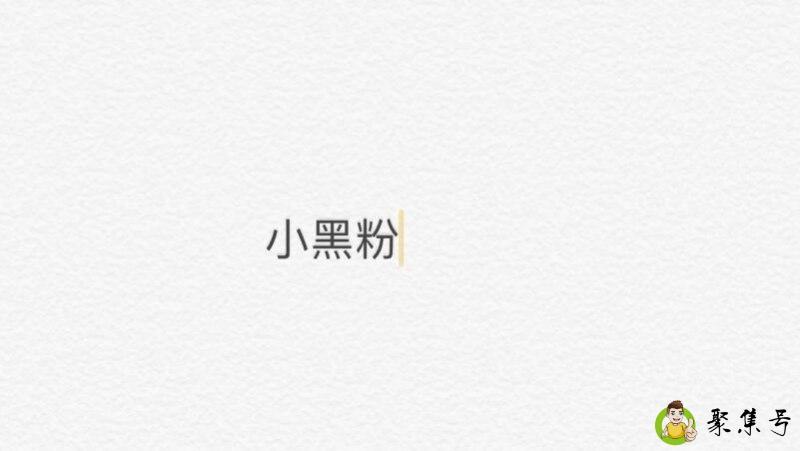 小黑粉什么意思