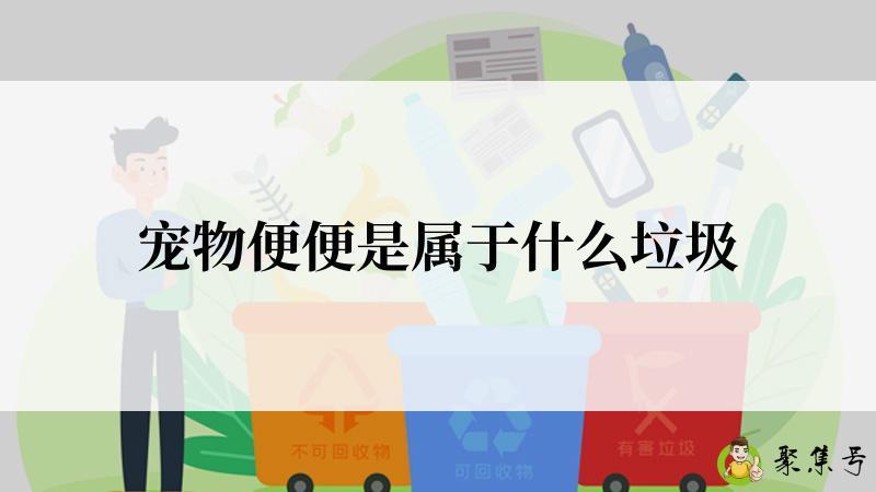 宠物便便是属于什么垃圾