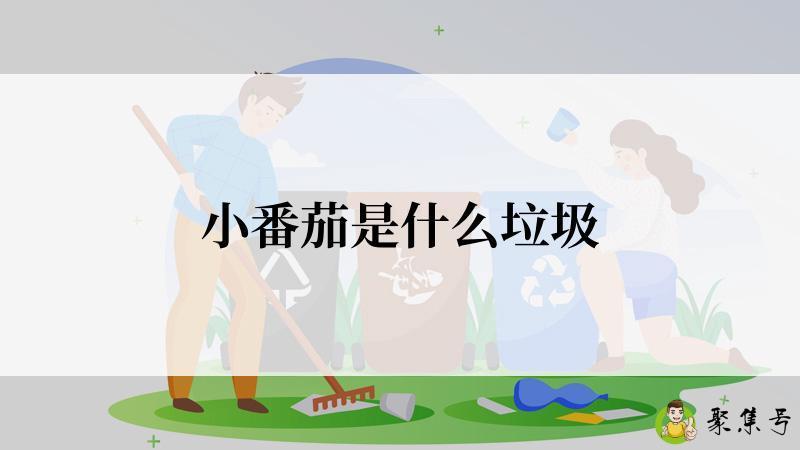 小番茄是什么垃圾