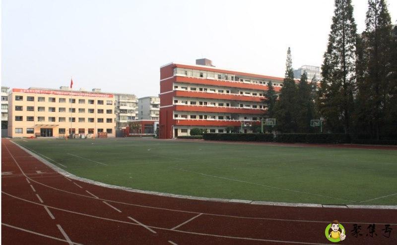 本预什么意思
