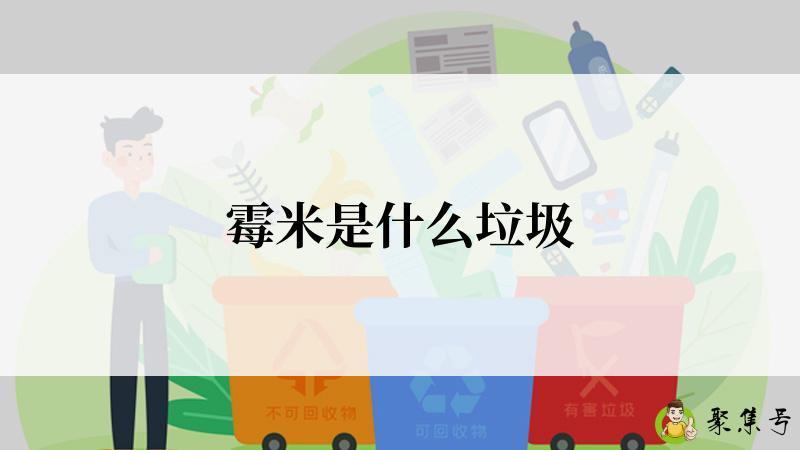 霉米是什么垃圾