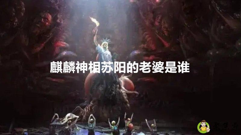 麒麟神相苏阳的老婆是谁