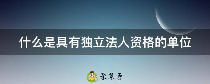 什么是具有独立法人资格的单位