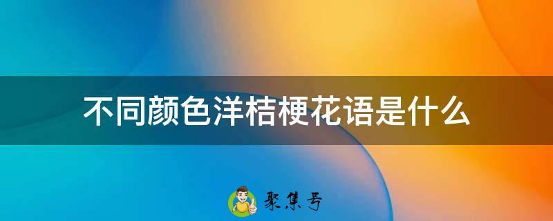 不同颜色洋桔梗花语是什么