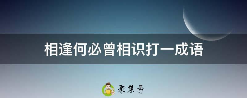 相逢何必曾相识打一成语