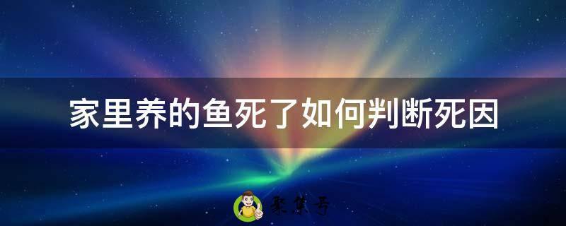 家里养的鱼死了如何判断死因