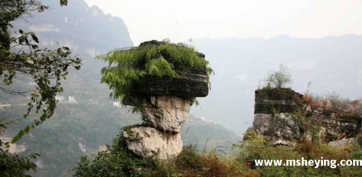 长江三峡指的是哪三峡,各有什么特点?