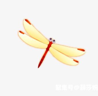 动物儿歌,人人吟唱,朗朗上口