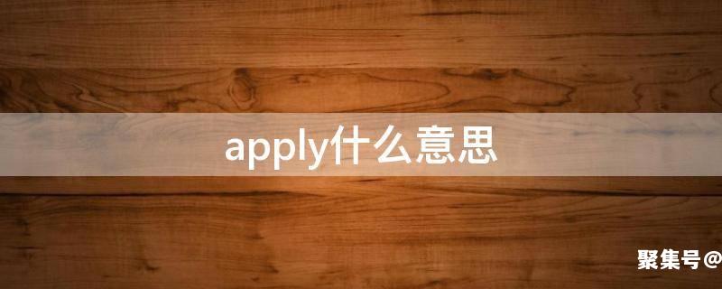 apply什么意思翻译