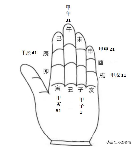 六十甲子手掌图图片