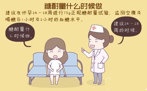 糖耐多少周做最合适（详细答案还附标准）